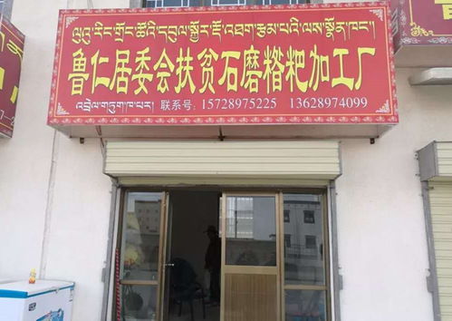 我校段玉平校友榮獲 全國(guó)脫貧攻堅(jiān)先進(jìn)個(gè)人 稱號(hào)丨將扶貧詩(shī)篇寫(xiě)在海拔4700米