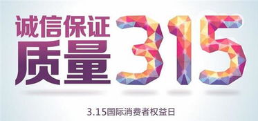 山東銀馳汽車財務咨詢 專業(yè)服務護航企業(yè)發(fā)展